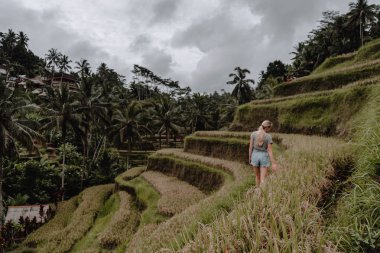 Blond girl walking on a rice field in Bali, Indonesia, she goes away from the camera clipart