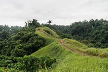 Ubud, Bali: Güzel yeşil pirinç tarlaları bulutlu günde palmiye ağaçlarıyla çevrili doğal görünümünü