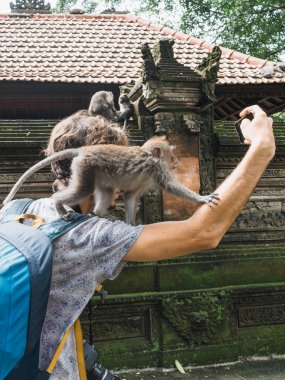 monkey with tourist  in monkey forest of Ubud, Bali, Indonesia clipart