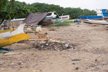 Sandy beach Bali, Endonezya