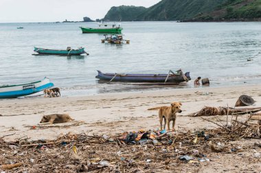 Sandy beach okyanus Bali, Endonezya