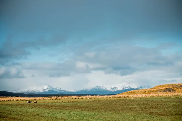 Nordic manzara, İzlanda şaşırtıcı. Seyahat ve doğa. Pastoral Vadi dağ manzarası ile