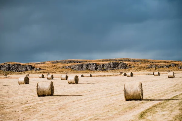 Nordic manzara, İzlanda şaşırtıcı. Saman yığınları sahada. Pastoral Vadi dağ manzarası ile