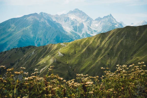 View Georgian Mountains Sharp Peak — Stock Photo, Image