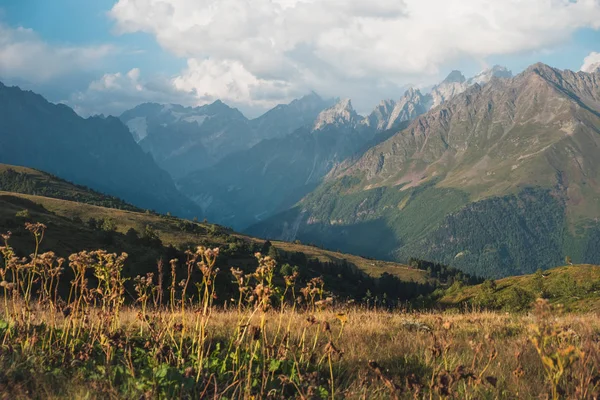 Picturesque View Green Mountains Sunny Day — Stock Photo, Image