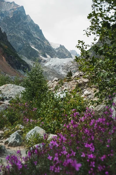 Amazing View Mountains Pink Wildflowers — Stock Photo, Image