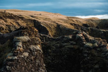İzlanda'daki Nordic peyzaj bitki ve kayalıklarla sahne