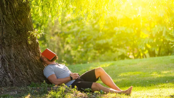 Jovem Está Dormindo Debaixo Árvore Chorando Salgueiro Com Livro Seu — Fotografia de Stock