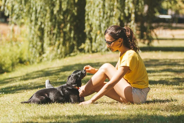若い女性は草の上に座っていると再生 または供給 犬とスポーティーな衣装で女の子の写真は日当たりの良い庭で楽しんで — ストック写真