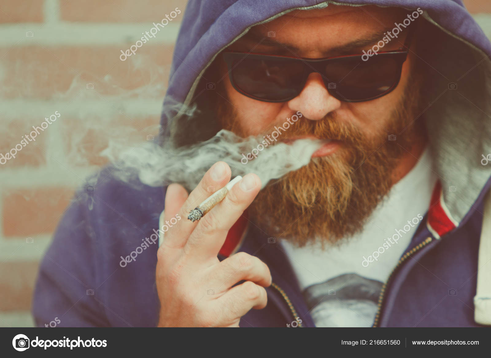 sagtmodighed Diskant Tilgivende Young Man Hoodie Beard Sunglasses Smoking Marijuana Joint Legalization  Legalisation Stock Photo by ©AlinaRosanova 216651560