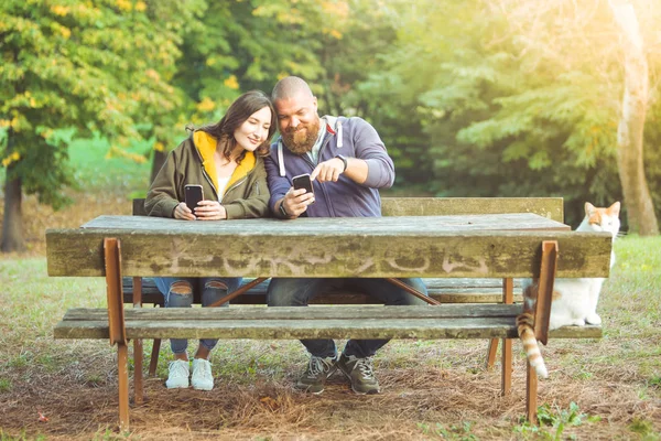 Sonbahar Bahçe Veya Park Ile Beyaz Kedi Sakallı Adam Bir — Stok fotoğraf