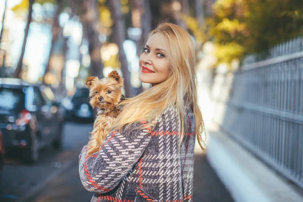 カメラを彼女の腕に小さな犬と金髪美女 — ストック写真