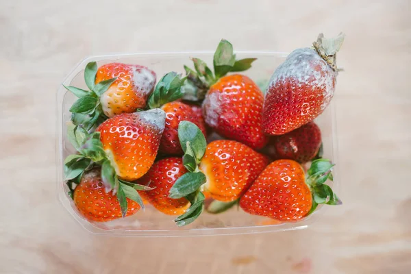 Verschimmelte Erdbeeren Plastikbox — Stockfoto