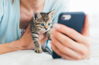 Yatakta kedicikle birlikte uzanan ve telefonla izleyen genç bir kadının görüntüsü. Akıllı telefon ekranına bakan şok olmuş ya da meraklı kedi yavrusunun görüntüsü.