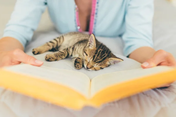 Przycięty Obraz Kobiety Czytającej Książkę Leżącej Łóżku Małym Kotkiem Śpiącym — Zdjęcie stockowe