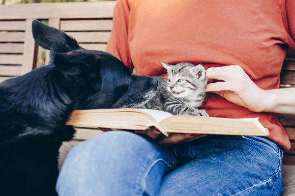 Cropped image of a girl reading book in the garden while her pets (dog and little kitten) are playing together. A young cat seeing or meets a dog for the first time.
