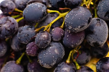 su damlaları ile üzüm