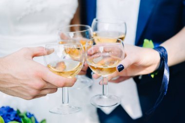 yeni evliler ve tanıklar düğünde şampanya ile gözlük clink