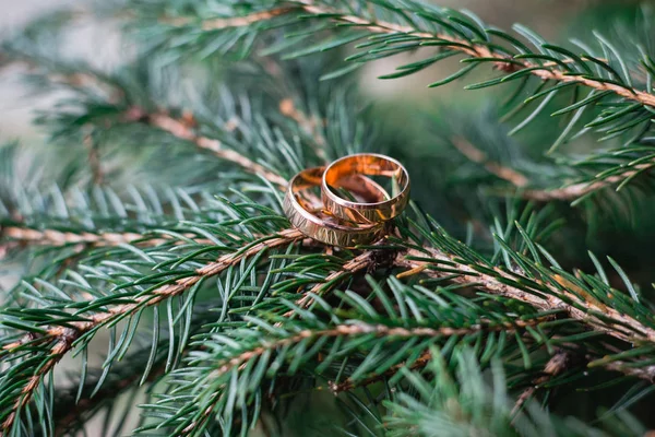 wedding rings on a Christmas tree branch