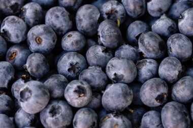 Taze böğürtlen dokusu arka planı