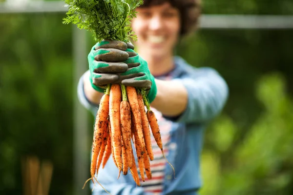 Primer Plano Jardinero Retrato Con Racimo Zanahorias Mano Jardín —  Fotos de Stock