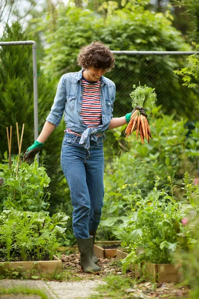 Retrato Cuerpo Entero Jardinero Feliz Sosteniendo Zanahorias Del Jardín —  Fotos de Stock