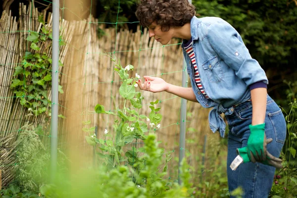 Portret Van Een Vrouwelijke Tuinman Die Tuin Werkt — Stockfoto