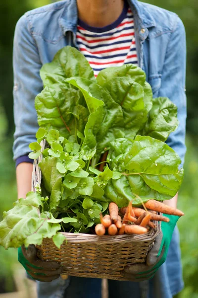 有機野菜の籠を持つ女性の肖像 — ストック写真