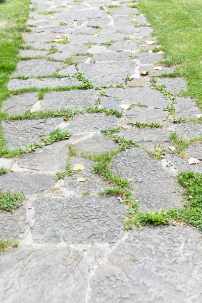 Detail of a stone path in a grass meadow