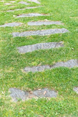 Ayrıntılı bir çim çayırda taş yolun