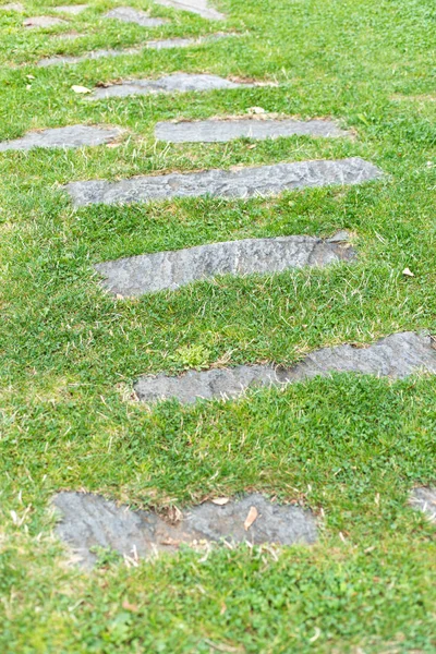 Detail Van Een Stenen Pad Een Weiland Met Gras — Stockfoto