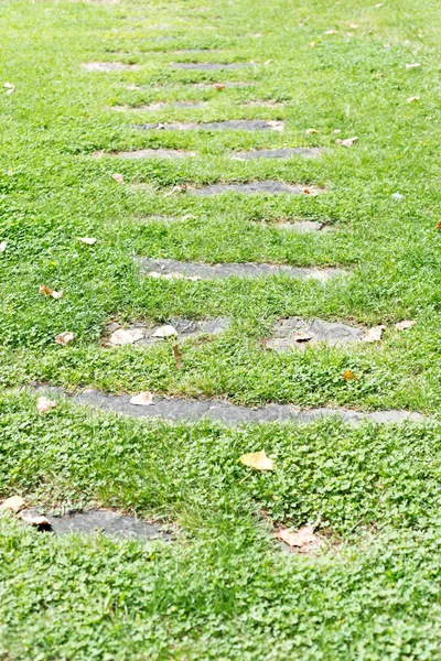 Detail Van Een Stenen Pad Een Weiland Met Gras — Stockfoto