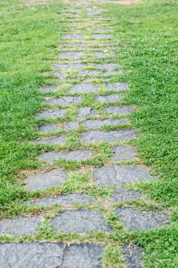Ayrıntılı bir çim çayırda taş yolun