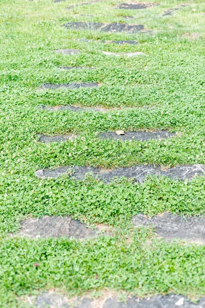 Detail Van Een Stenen Pad Een Weiland Met Gras — Stockfoto