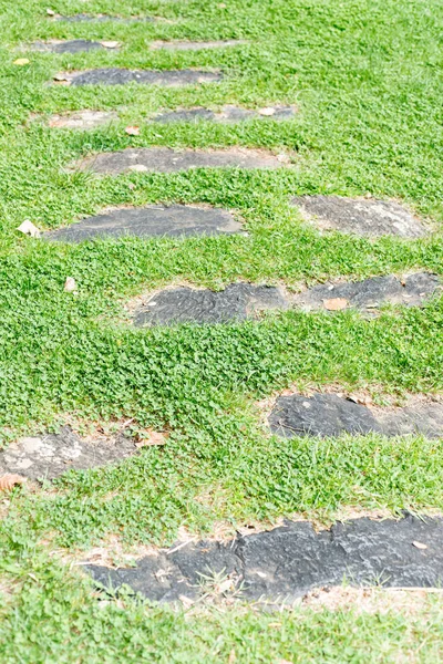 Detail Van Een Stenen Pad Een Weiland Met Gras — Stockfoto
