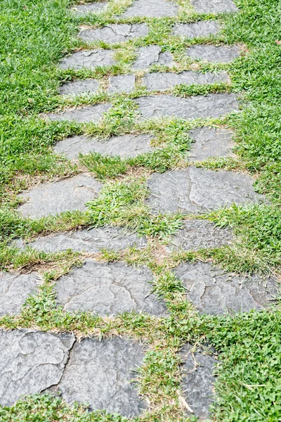 Detail Van Een Stenen Pad Een Weiland Met Gras — Stockfoto