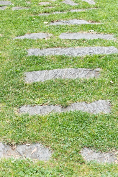 Detail Stone Path Grass Meadow — Stock Photo, Image