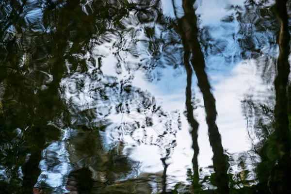 Outono Reflexões Margem Rio — Fotografia de Stock