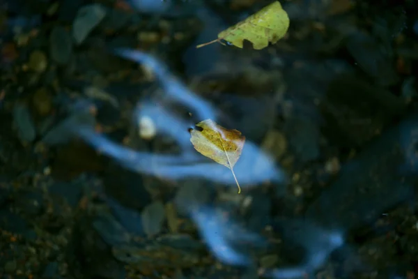 Autunno Riflessioni Sulla Riva Del Fiume — Foto Stock