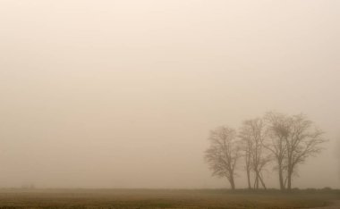 Sabah sis ile kış manzarası