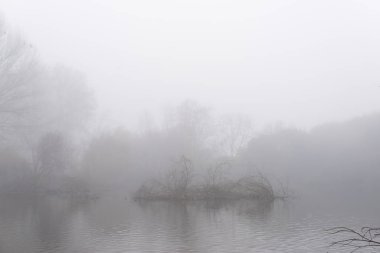 Sabah sis ile kış manzarası