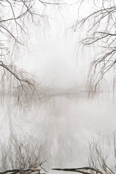 Paysage Hivernal Avec Brouillard Matinal — Photo
