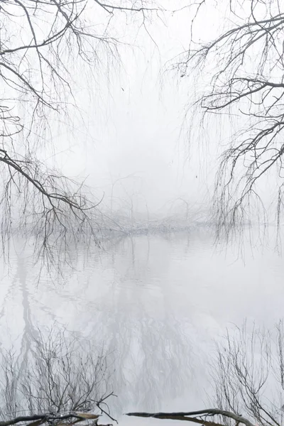 Paesaggio Invernale Con Nebbia Mattutina — Foto Stock