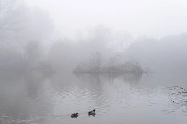 Paesaggio Invernale Con Nebbia Mattutina — Foto Stock