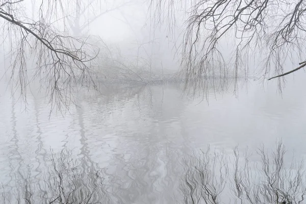 Зимовий Пейзаж Ранковим Туманом — стокове фото