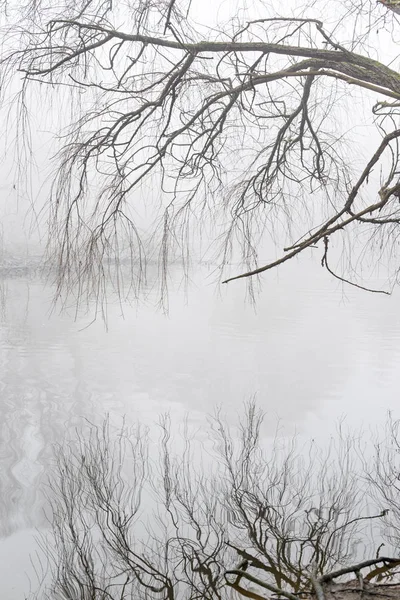 Paesaggio Invernale Con Nebbia Mattutina — Foto Stock