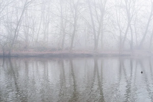 朝の霧のある冬景色 ストック画像