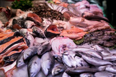 Boqueria market (İspanya Barcelona'da mağazaların ayrıntılarını)