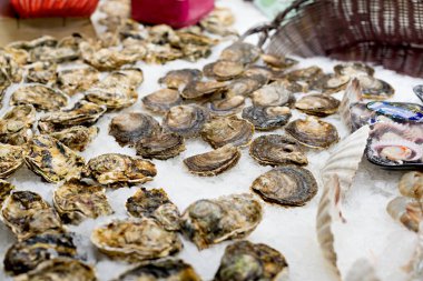 Boqueria market (İspanya Barcelona'da mağazaların ayrıntılarını)
