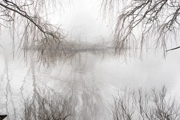 Paesaggio Invernale Con Nebbia Mattutina — Foto Stock